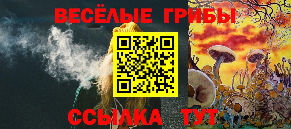 Новоалександровск  Псилоцибиновые грибы мицелий  Вход с VPN 